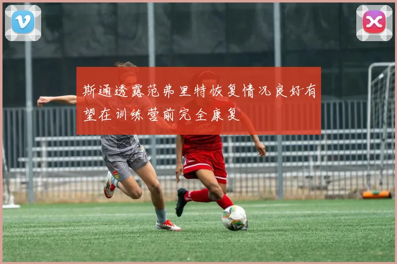 斯通透露范弗里特恢复情况良好有望在训练营前完全康复